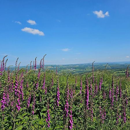 Summit Camping Kit Hill Cornwall Panoramic Views Grass Pitch From 15Pn Or Bella Bell Tent 75Pn Callington Exteriér fotografie
