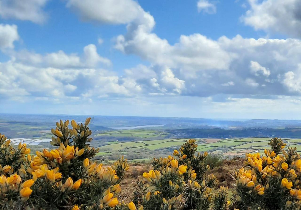 Summit Camping Kit Hill Cornwall Panoramic Views Grass Pitch From 15Pn Or Bella Bell Tent 75Pn Callington Exteriér fotografie